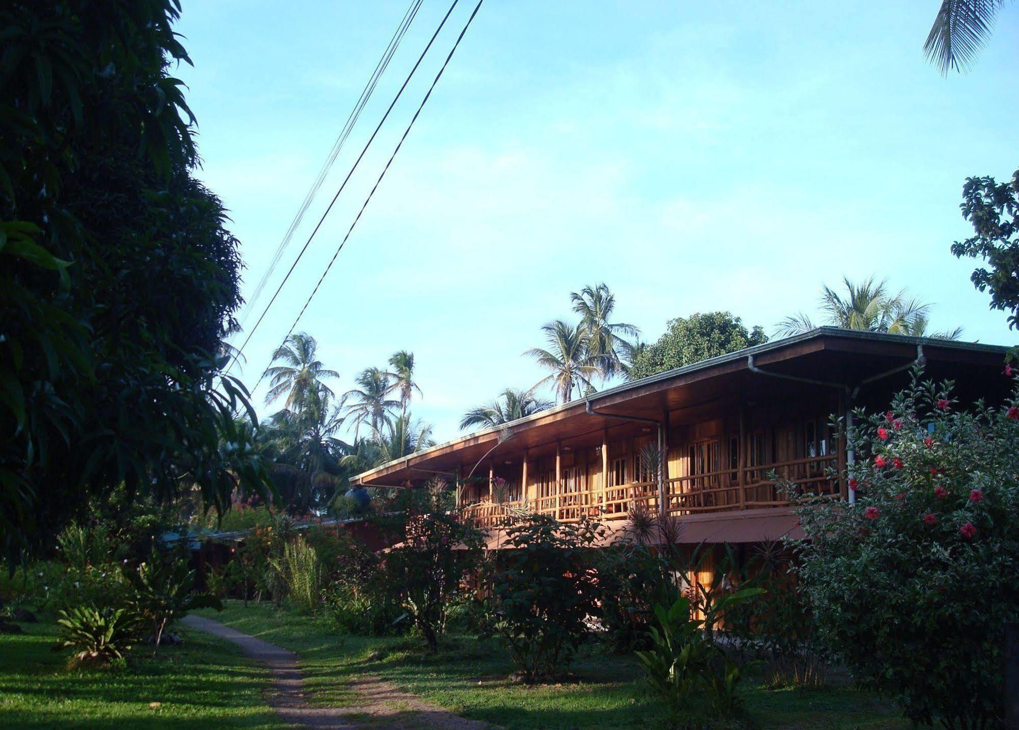 Miss Junies Lodge Тортугеро Екстер'єр фото